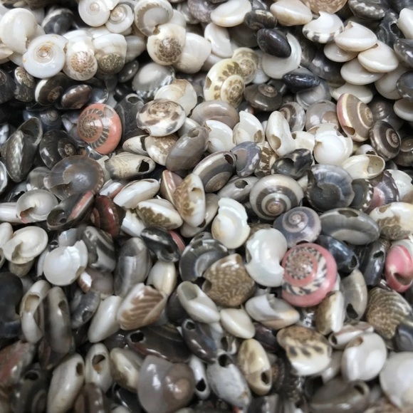 100+ Pcs Real Button TOP Seashells Beads Mixed Lot Jewelry Making DIY Shells - Picture 5 of 12